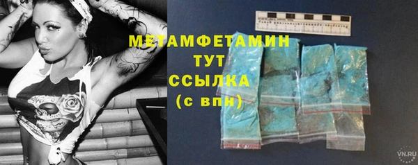 шишки Заволжье