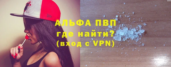 шишки Заволжье