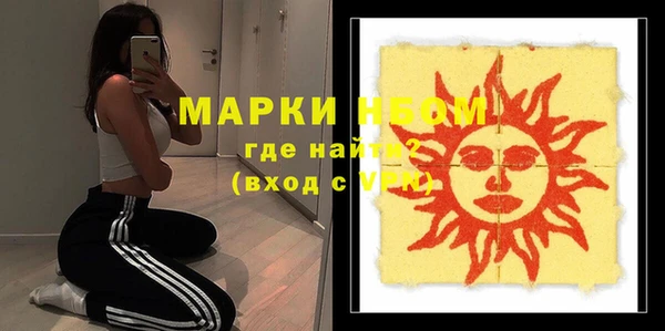 шишки Заволжье