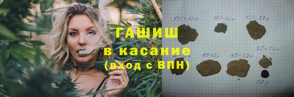 шишки Заволжье