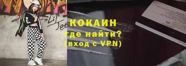 шишки Заволжье