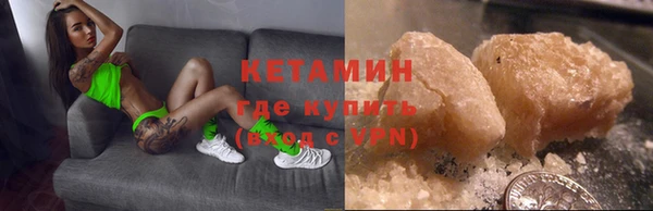 шишки Заволжье