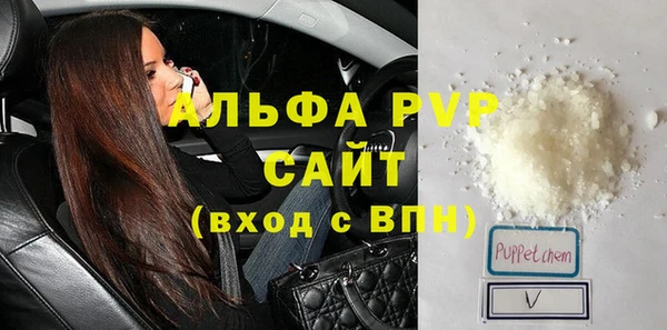 шишки Заволжье