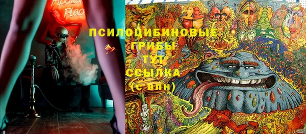 шишки Заволжье