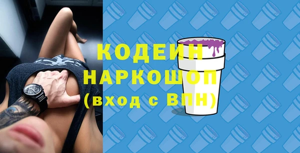 шишки Заволжье