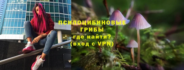 шишки Заволжье